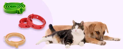 ProVET Профилайн Капли от блох и клещей для кошек от 4 до 8 кг