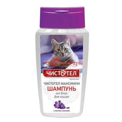 Ошейник Beaphar Bio+ для кошек от блох - купить с доставкой в  Ростове-на-Дону - STORUM