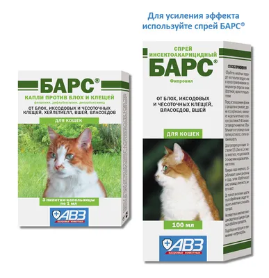 Капли от блох для кошек, 3 ампулы, BioDoctor - купить с доставкой по  выгодным ценам в интернет-магазине OZON (1036887683)