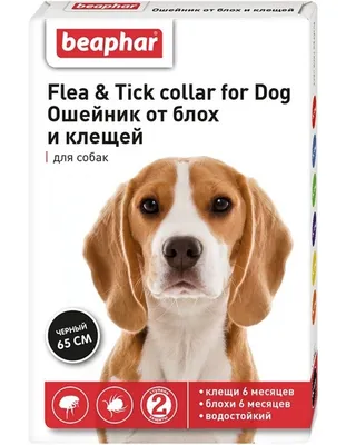 Барьер-супер капли от блох, клещей дозировка 1 мл для взрослых собак и  котов - Купить онлайн, цена и отзывы на E-ZOO