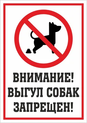 Россиян хотят штрафовать за выгул собак на детских площадках - РИА Новости  Крым, 09.02.2022