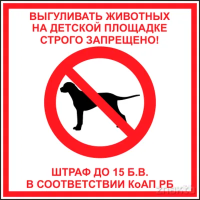 Правила выгула собак, о которых вы могли не знать - ForumDaily