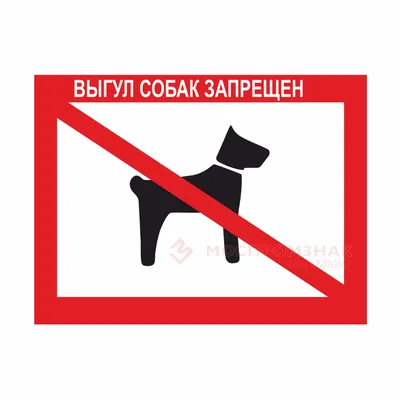 719 Табличка \"Выгул собак запрещен\" (3603) купить в Минске, цена