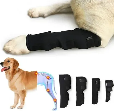 Бандаж для собаки на запястный, скакательный сустав. Для собак со  ослабленными лапами после операций, артрита, травмы связок/сухожилий.  Размер M. - купить с доставкой по выгодным ценам в интернет-магазине OZON  (618201801)