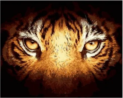 Бродя взгляд ` s тигра стоковое фото. изображение насчитывающей гулять -  127850674