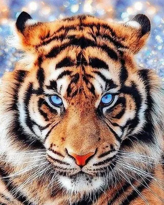 Взгляд тигра стоковое фото. изображение насчитывающей развилки - 93165788