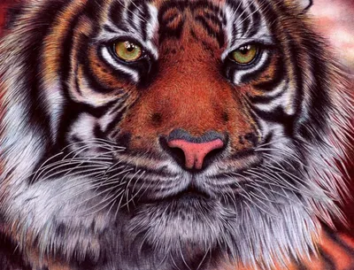 Запечатлейте взгляд тигра с помощью …» — создано в Шедевруме