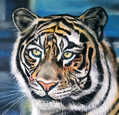 Фотокартина ”Взгляд тигра 1” для интерьера, купить