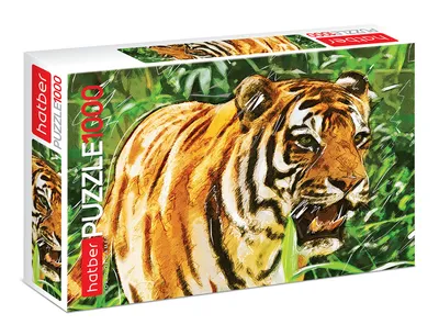 Глаза Тигра — стоковые фотографии и другие картинки Тигр - Тигр, Тигровый  глаз, Крупный план - iStock