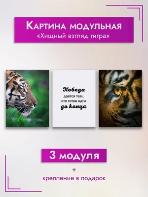 ᐉ Купить Картина по номерам Взгляд тигра BS8767 • цена 245 грн в Украине