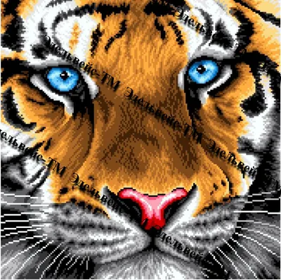 Онлайн пазл «Взгляд тигра»