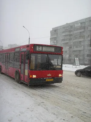 Тольяттинский автобус — Википедия