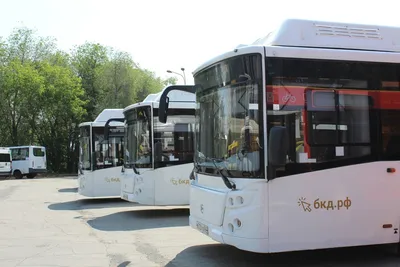 Основная версия взрыва автобуса в Тольятти - теракт