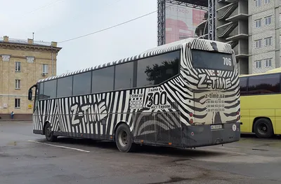 Пасажирські перевезення ✔️ Zebra-Time ➡️ Ковель Інфо