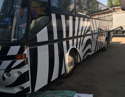 Автобус Foxbus с водителем 2018 год