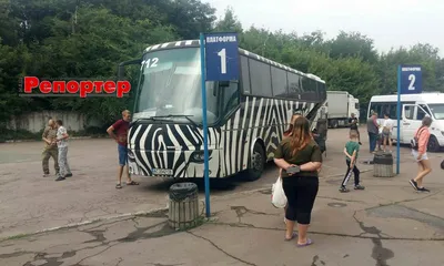Волынская область, VDL Bova Futura FHD-127 № 705 — Фото — Автобусный  транспорт