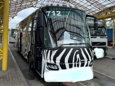 Клубный автобус Академии Чайка — Dprofile