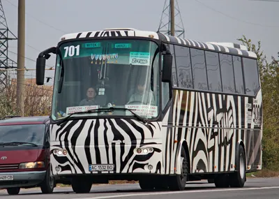 Пасажирські перевезення ✔️ Zebra-Time ➡️ Ковель Інфо