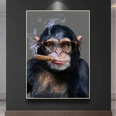 Молодой маленький взгляд обезьяны макаки на банане Милые обезьяны Стоковое  Изображение - изображение насчитывающей шерсть, плодоовощ: 123198773