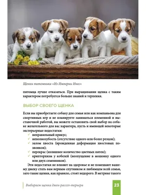ЗООГЕН центр ветеринарной генетики - Общая информация