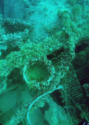 Какие затонувшие сокровища скрываются на дне Черного моря — 02.02.2022 — В  мире, Lifestyle на РЕН ТВ