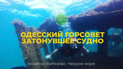 Пятерка самых живописных затонувших судов Черного моря | FederalCity | Дзен
