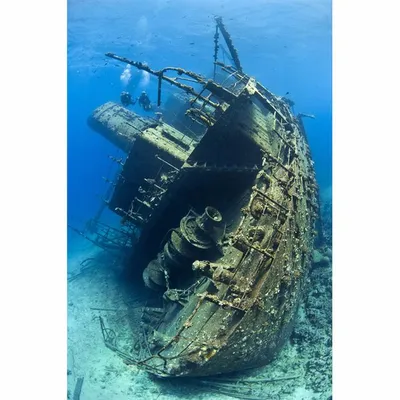 Путешествие на затонувший корабль (10 фото) » Триникси