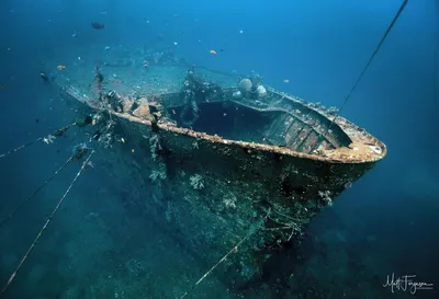 Затонувший корабль Бога - Либерти будущего - Балифорум