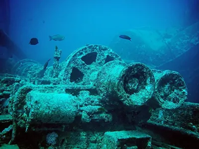 Самые известные затонувшие корабли в Красном море | Ассоциация Туроператоров