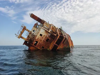 В Горле Белого моря подводные археологи нашли 11 затонувших кораблей -  Российская газета