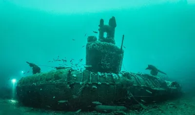 ТОП - 5 затонувших подводных лодок времен ВОВ, которые были найдены на дне  океана | Планета Земля | Дзен
