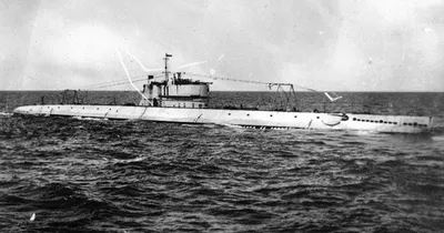 Найдены почти все советские подводные лодки, затонувшие во время Великой  Отечественной войны в Финском заливе - Русская семерка