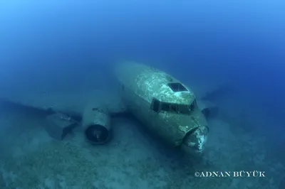 Затонувший самолет (С-47 Dakota) | дайвинг Текирова