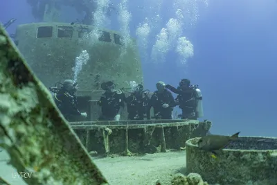 На дне Днепра нашли древний затонувший корабль: фото - ЗНАЙ ЮА
