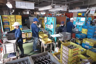 Посещение завода ТОЙОТА в Японии – Завод металлоконструкций Аполло
