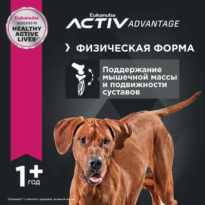 Лакомство Топси для собак 100г ❤️ доставка на дом от магазина Zakaz.ua