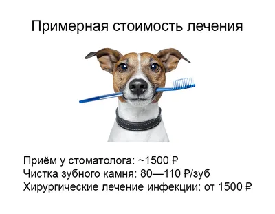 АЕГРИШ Зубная паста и щетка для собак и кошек