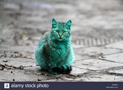Антро фурри зелёный кот в зелё…» — создано в Шедевруме