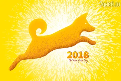 Жёлтая собака» — создано в Шедевруме