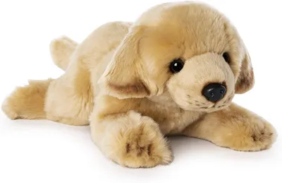 Купить Новый Чикан Наггит Маленькая Желтая Собака Мягкая Игрушка Мультяшные  Периферийные Куклы Сетевые Красные Куклы | Joom