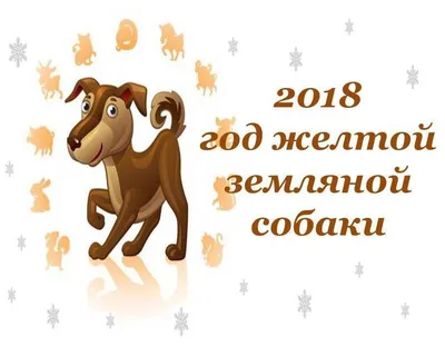 Символ 2018 года – Желтая собака