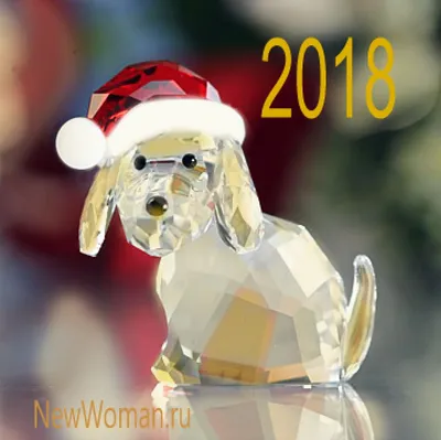 Символы года: самые милые желтые собаки в мире | Шоу | OBOZ.UA