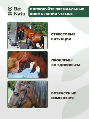 Dynavena Russia - К - КОНДИЦИИ Худая лошадь: как вернуть форму. Бывают  такие лошади, про которых говорят: «не в коня корм». Казалось бы лошадь ни  на что не жалуется, нагрузку держит, а