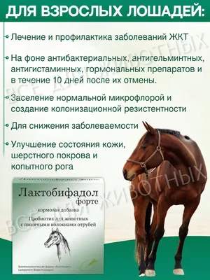 Пищеварение лошади: совершенно иной взгляд | https://artofhorsemanship.ru