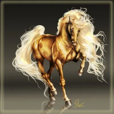 Лошадь Женщина Верхом На Лошади - Бесплатное фото на Pixabay - Pixabay