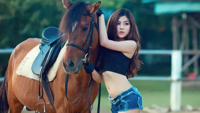 Красивая Женщина С Лошадью — стоковые фотографии и другие картинки Лошадь -  Лошадь, Женщины, Платье - iStock