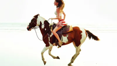 Картинки лошадь Шляпа молодые женщины Луга Платье 640x960