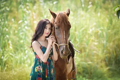 Женщина И Лошадь — стоковые фотографии и другие картинки 20-24 года - 20-24  года, 20-29 лет, Беззаботный - iStock