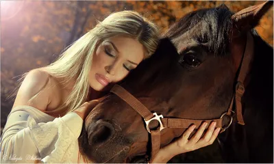 Эстетика лошади | Лошадь и девушка фотография, Девушка и лошадь, Фотографии  лошадей