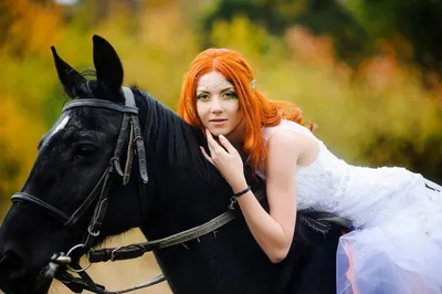 Женщина, касающаяся лошади · Бесплатные стоковые фото